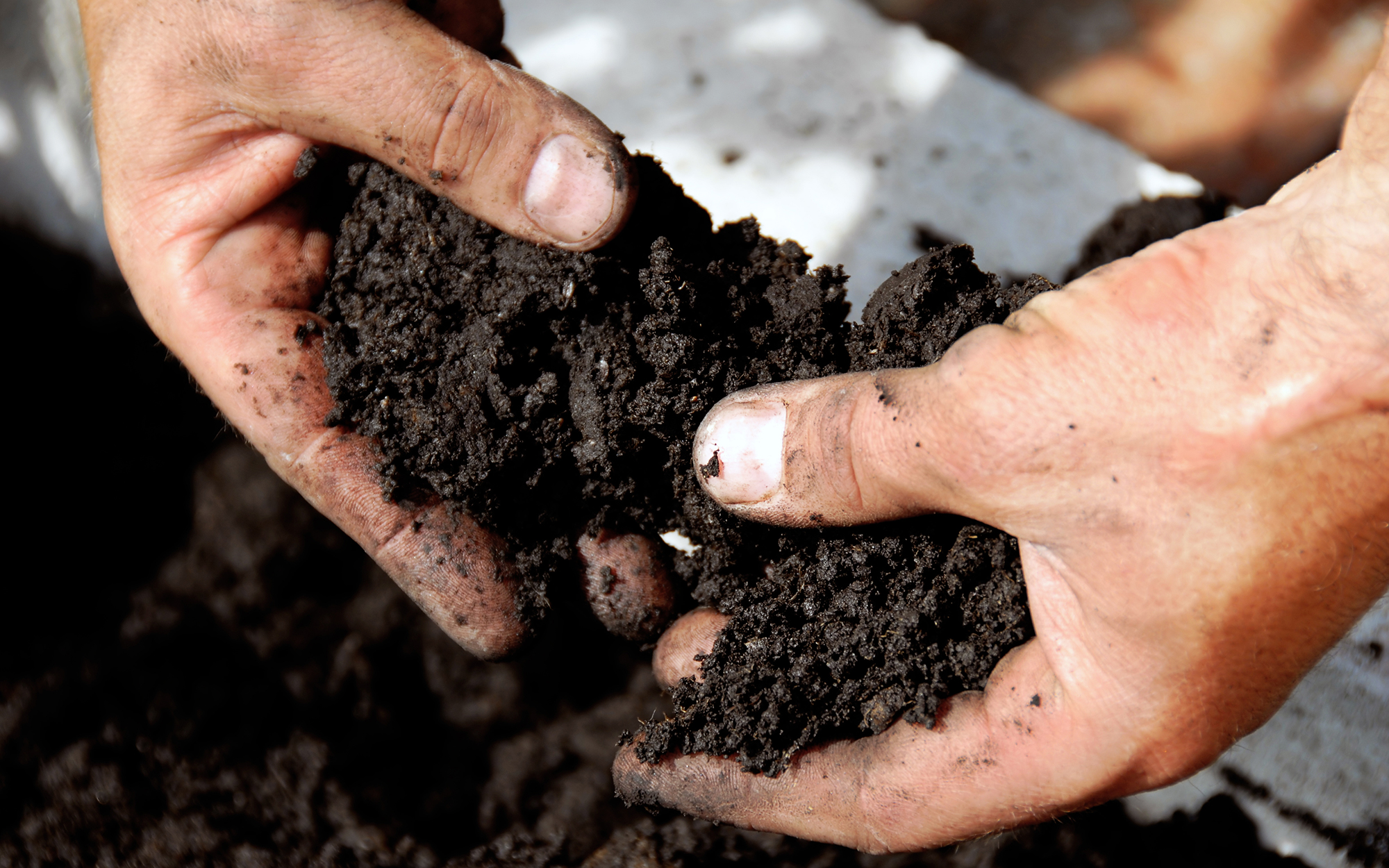 How Soil Types Effect Part Wear
